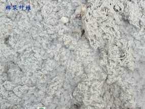 石棉棉漿纖維擠干固液分離